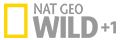 Nat Geo Wild +1